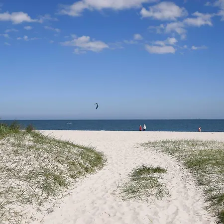 Tiny House Pioneer 5 - Green Tiny Spot Schillig *