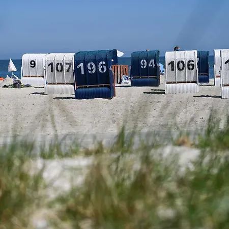 Tiny House Pioneer 5 - Green Tiny Spot Schillig Prázdninový dům